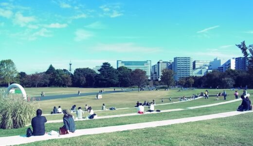 【”バンホーテンの腸活ココア”を飲んでみたら、快便を実感する。】