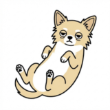 はじめましてのご挨拶